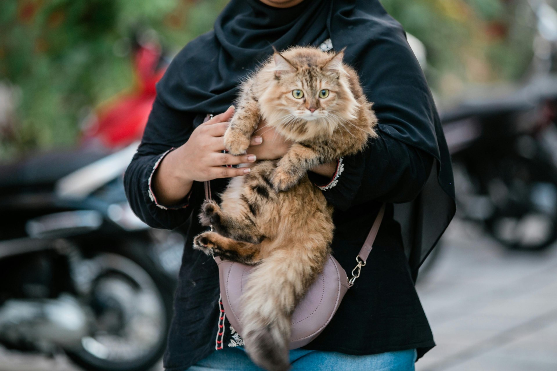 A woman considering rehoming a pet, which is a hard decision