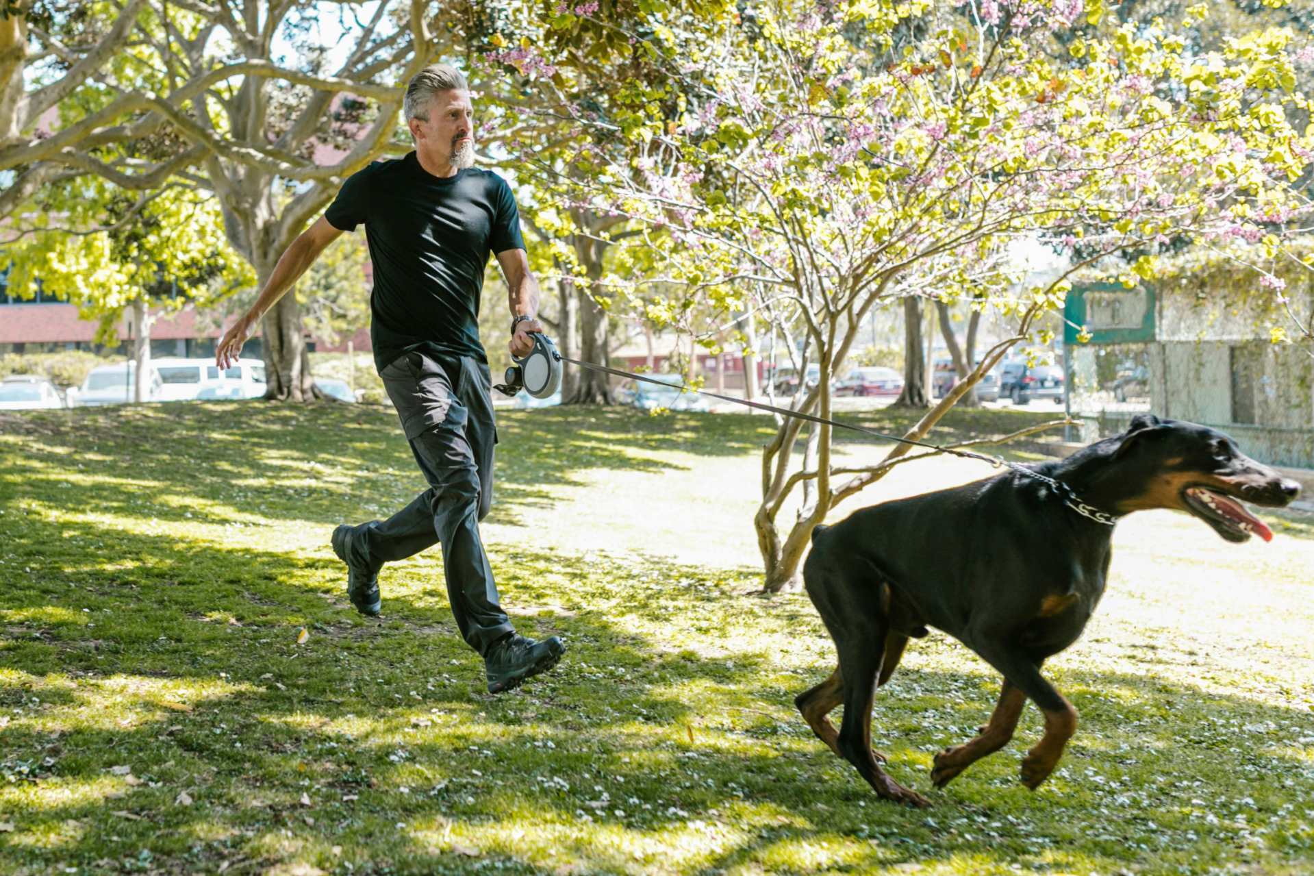 A man being pulled by his dog. He needs loose leash walking training