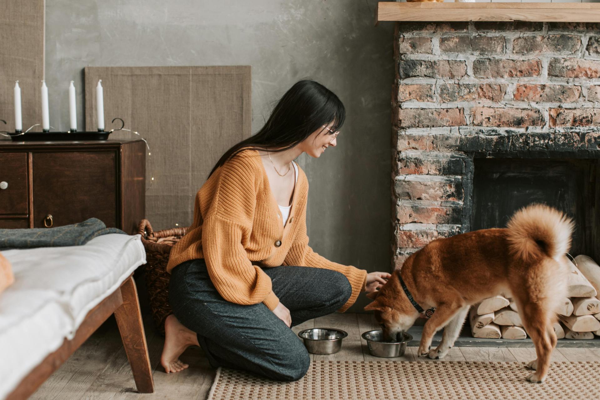 This dog owner understands the benefits of a rotation diet for dogs. She is feeding him a variety because she knows it matters